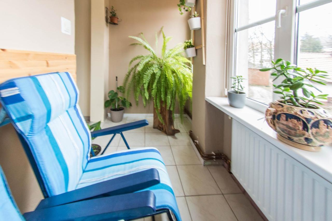 Apartamenty Izerskie - Ul. Wczasowa 8 Świeradów-Zdrój エクステリア 写真