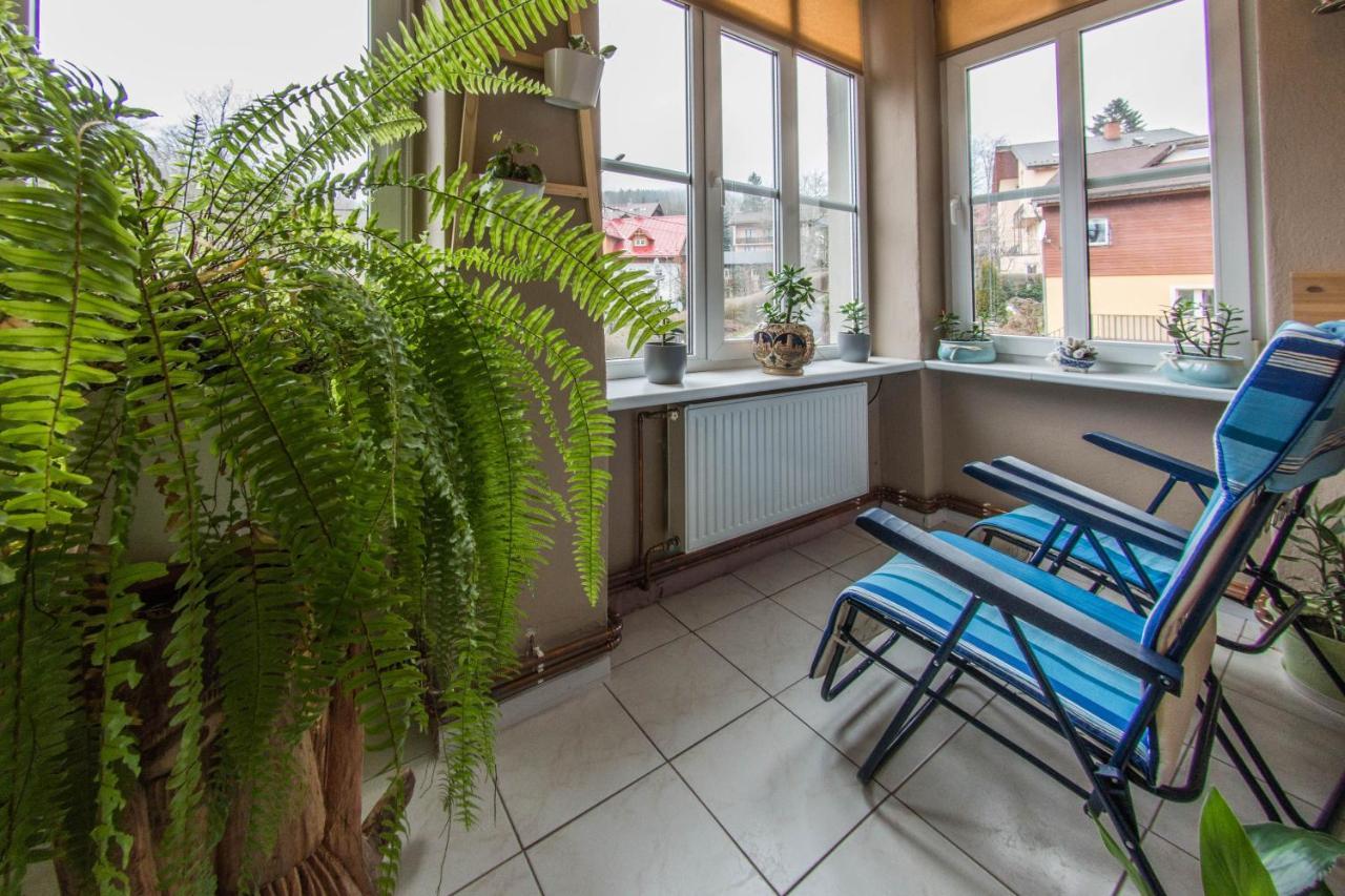Apartamenty Izerskie - Ul. Wczasowa 8 Świeradów-Zdrój エクステリア 写真